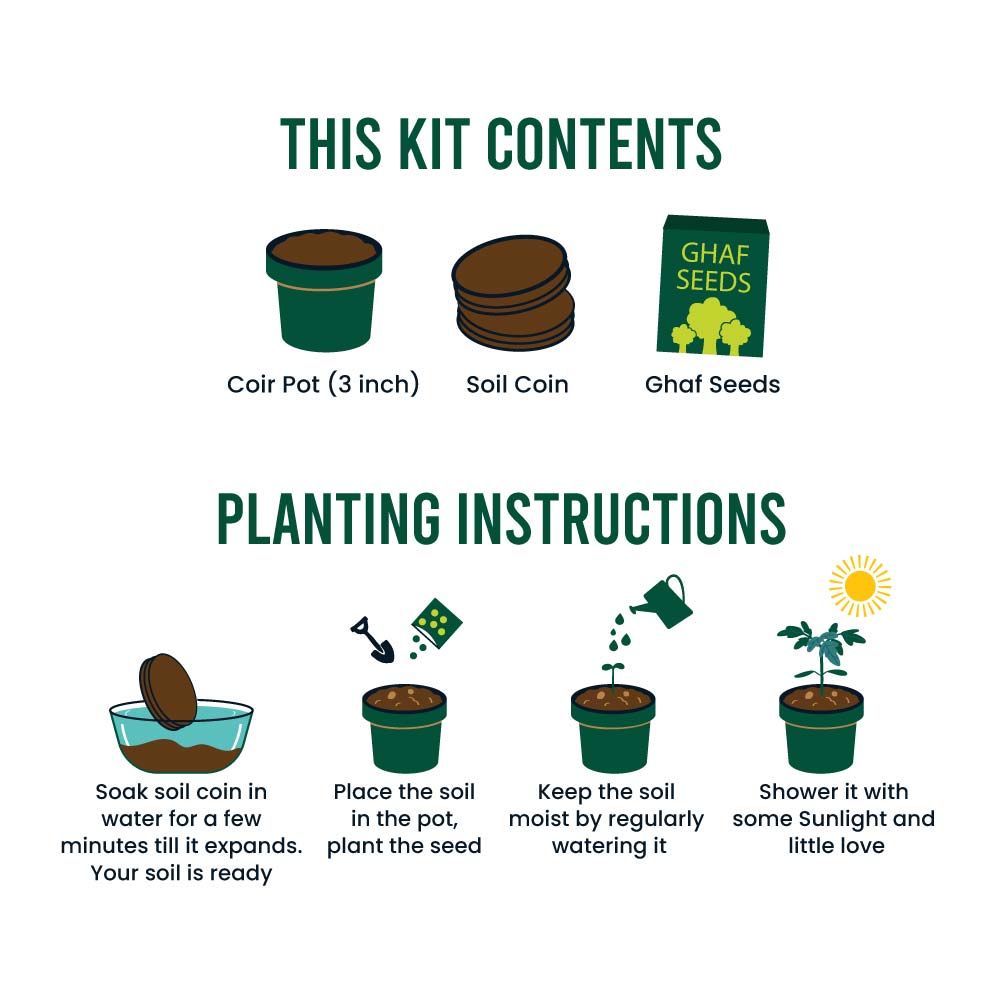 Plantable-Kit-with-GHAF-Seeds-SPS-06-Instruction.jpg